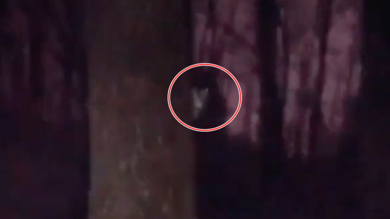 Çfarë është ajo? Një grua kapi një figurë në pyllin e errët, që disa shikues po e quajnë “demon”