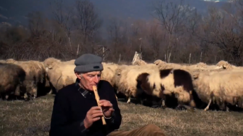 Të moshuarit nga Istogu që kujdesen për më shumë se një mijë dele