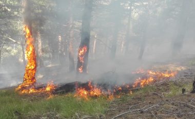 Zjarre në fshatrat e Ferizajt dhe Gjilanit, shkaktohen dëme