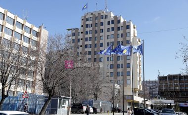 Kritika për çështjen e emërimit të ambasadorëve, Ministria e Jashtme hesht