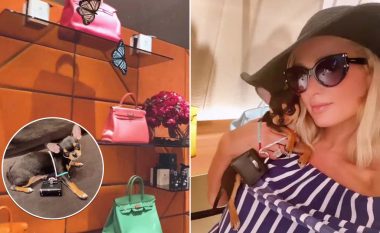 Paris Hilton i bleu këlyshit të saj një çantë me vlerë 5.500 dollarë