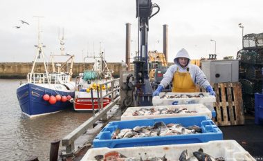 Peshkatarët britanikë në gjendje të vështirë ekonomike pas BREXIT-it