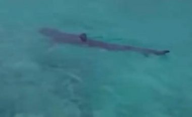 Peshkaqeni “frikëson” të gjithë në qytetin grek, peshkatari e filmoi pranë destinacionit të preferuar të pushuesve