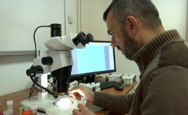 Insekti që u zbulua nga profesori Halil Ibrahimi në Bjeshkët e Nemuna, pse vendosi ta quajë "Coronavirus"