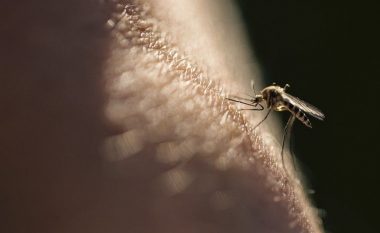 Një vaksinë kundër malaries rezultoi 77 për qind efektive – tregojnë provat e hershme të studimit nga Universiteti i Oksfordit