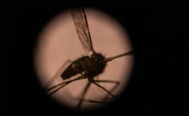 Universiteti i Oksfordit arrin qëllimin për një vaksinë të malaries me efikasitet të lartë