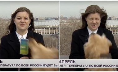 Po raportonte drejtpërdrejtë, gazetares ruse ia rrëmben qeni mikrofonin – ajo i vihet pas për t’ia marrë