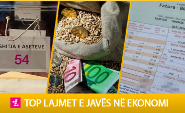 ‘Bllokimi’ i AKP-së, shtyrja e liberalizimit të tregut të energjisë dhe vazhdimi i pagesës së subvencioneve për bujqit – top ngjarjet e javës në ekonomi