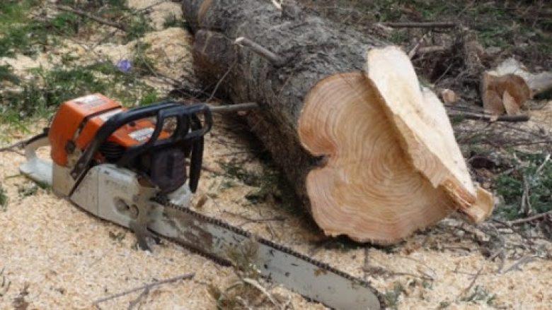 U lëndua duke prerë dru në mal, vdes në QKUK një person nga Podujeva