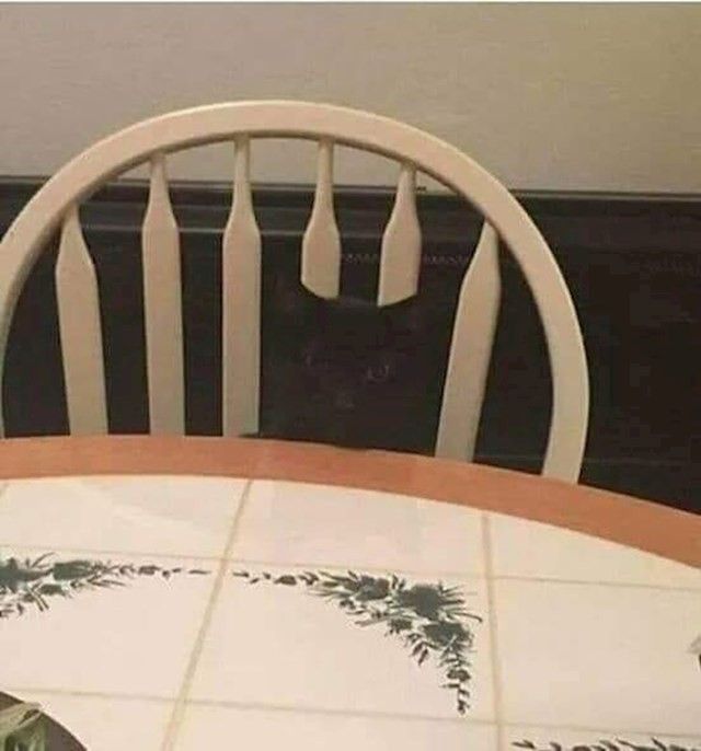 Random Optical Illusions You'll Have To Watch Too Many Times To ...