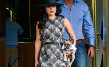 Në lidhje me rastin – familja e Lady Gagas të lumtur për rikthimin e qenve dhe për arrestimin e pesë personave