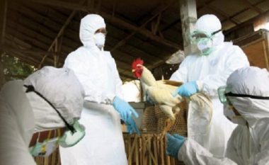 Paraqitet një rast me grip të shpezëve në Podujevë, AUV rekomandon disa masa për fermerët