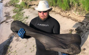 Ata u zhytën në një lumë në Florida dhe gjetën një kockë mamuthi