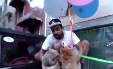 Lidhi qenin për balona të heliumit për ta bërë të fluturojë – arrestohet YouTuberi nga policia indiane
