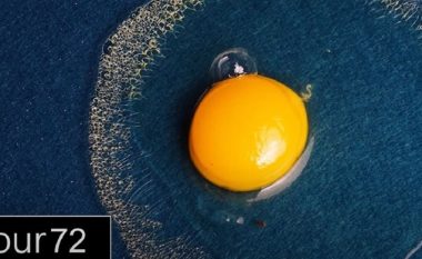 Ju mund të habiteni se çfarë ndodh me një vezë që qëndron jashtë lëvozhgës për rreth dhjetë ditë