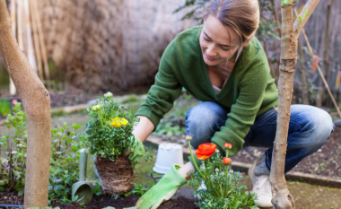 Si të pastroni mjetet e kopshtit në mënyrë që ato të shkëlqejnë si të reja