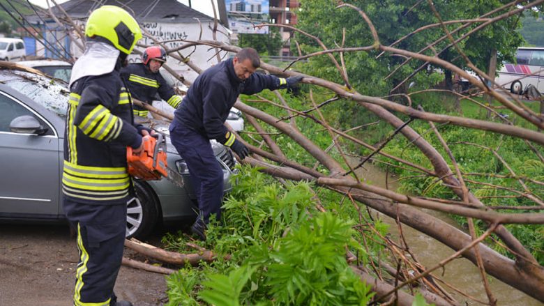 Reshjet e shiut në Kamenicë, dëme materiale pasi degët e pemëve bien mbi vetura