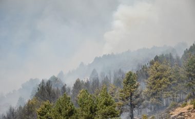 Shpërthen zjarr në Galiçnik, ka rrezik për djegien e shtëpive