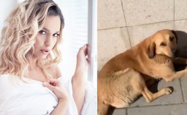 Teuta Krasniqi sqaron konfliktin rreth qenit në xhirimet e filmit: Ishte gabim përzgjedhja, kërkojmë falje