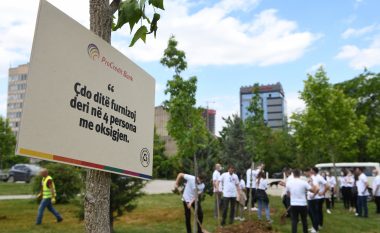 ProCredit Bank mbjell 452 drunj në parkun e Kampusit të Universitetit të Prishtinës
