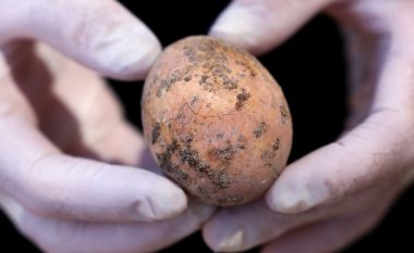 Arkeologët në Izrael zbulojnë vezën e pulës afro 1,000 vjet e vjetër, atë e gjetën në një gropë septike – ishte e paprekur