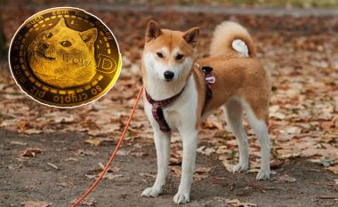Mallkimi i maskotës së Dogecoin, qentë e racës Shiba Inu për shkak të kriptovalutës çdo herë e më të kërkuar