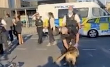 Policia në Londër doli për të shpërndarë turmën, madje i kërcënoi me qen – por kafsha ia nguli dhëmbët në dorë një polici