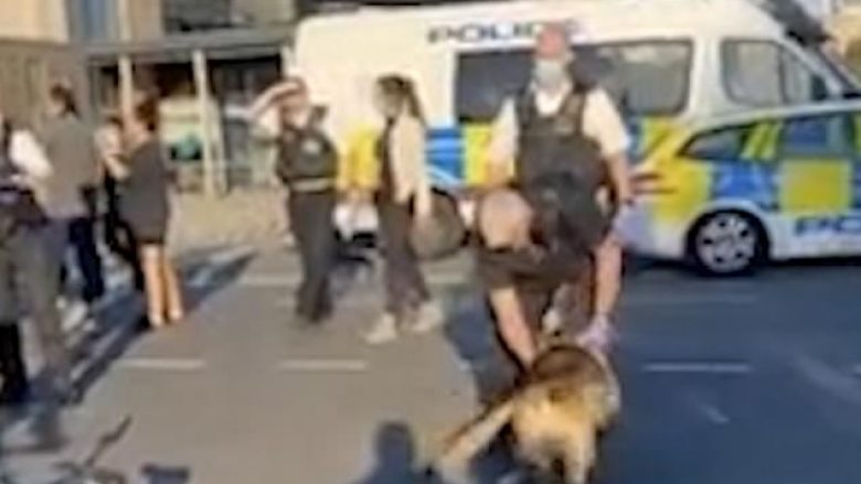 Policia në Londër doli për të shpërndarë turmën, madje i kërcënoi me qen – por kafsha ia nguli dhëmbët në dorë një polici