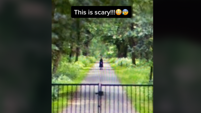 E frikshme – një figurë e veshur me të zezë, zbulohet në një shteg pylli nga një përdorues i Google Earth