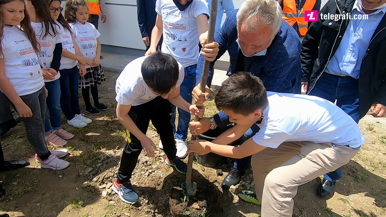 Al Trade Center vazhdon traditën e mbjelljes së pemëve në Drenas, Fushë Kosovë dhe Prishtinë