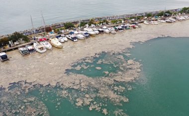 Deti Marmara po shkatërrohet shkaku i mukozës detare