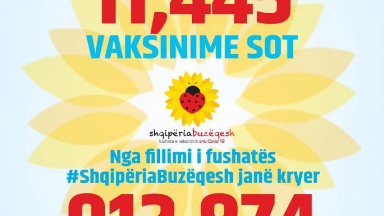 Mbi 912 mijë vaksinime në Shqipëri