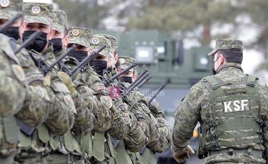 Pozicionimi në krahë të Ukrainës, ekspertët thonë se ushtria e Kosovës mund të ndihmojë në disa mënyra aleatin e SHBA-së