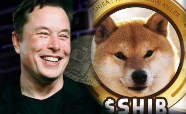 Efekti domino i lëvizjes së Elon Muskut – blen qen të racës Shiba Inu, rritet vlera e kriptovalutës me të njëjtin emër