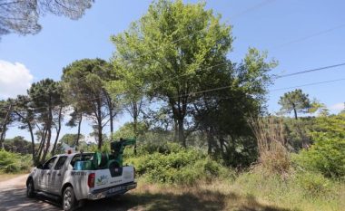 Vijon dezinsektimi në zonat bregdetare të Shqipërisë