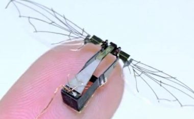 Mikro-dronët me krahë si zogjtë