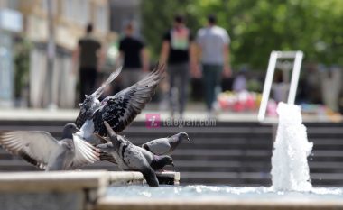 Javë me mot përvëlues, temperaturat deri në 35 gradë