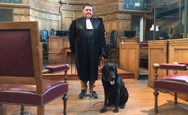 Ka marrë pjesë ne 80 raste të ndryshme në gjykatat e Francës, qeni Lol ndihmon viktimat e krimit