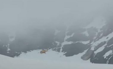 Tragjedi në Alpe, dy gra ngrihen për së gjalli në mbi 4.000 metra lartësi mbidetare