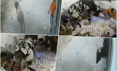 Demi futet në një shtëpi në Indi, i lëndon katër persona – kamerat e sigurisë filmuan gjithë ngjarjen