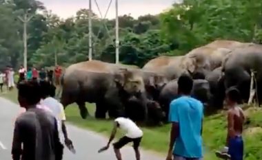 Momenti kur një burrë shtypet për vdekje nga elefanti në Indi