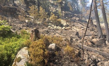 Zjarri në malet e Rugovës, digjen rreth 50 hektarë