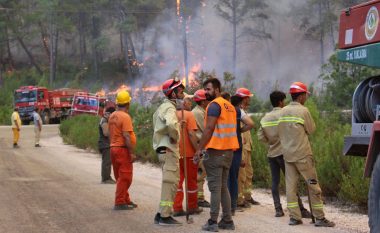 Shkon në pesë numri i të vdekurve shkaku i zjarreve në Turqi