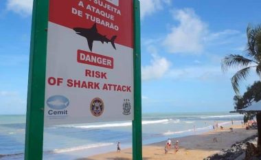 Pas një nate alkool, shkoi në plazh për të urinuar – peshkaqeni ia këput dorën dhe këmbën brazilianit