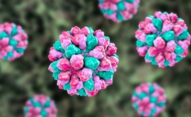 Anglia po raporton rritje të rasteve nga norovirusi –  virusi që shkakton ‘të vjella të papritura’
