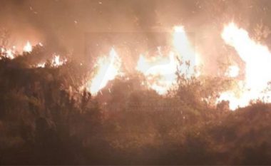 Zjarr masiv në Karaburun të Vlorës, kërkohet ndërhyrja e ushtrisë