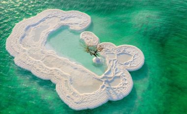 “Pema e jetës” rritet në një ishull me kripë në mes të Detit të Vdekur