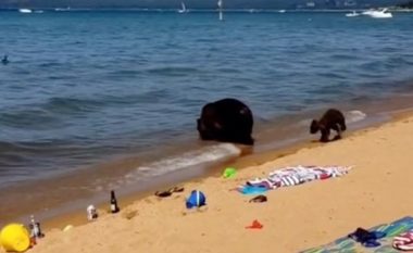 Dy arinj erdhën të freskoheshin në liqen, pushuesit nuk mund të besonin atë që po shihnin