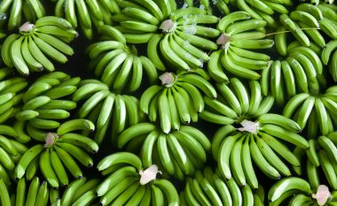 Ngrënia e bananeve para se të piqen vjen me përfitime befasuese për sheqerin në gjak dhe shëndetin e zorrëve