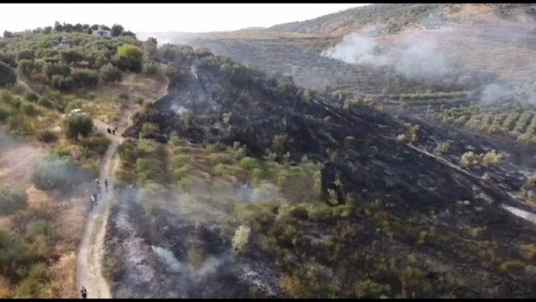 Sërish zjarr në Fier, digjen ullinjt në kodrat e Cakranit